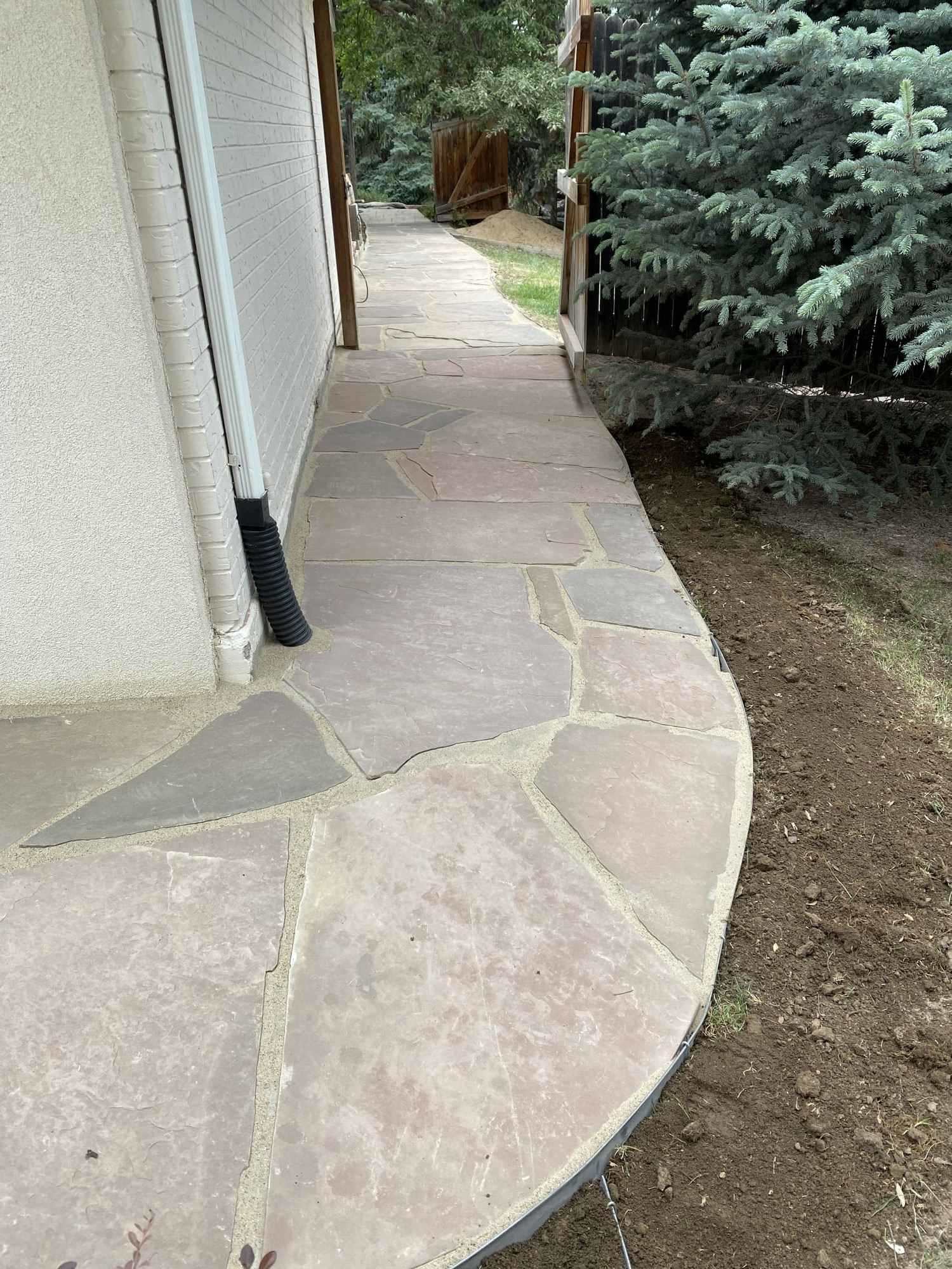 Xeriscape Tree Care In Denver